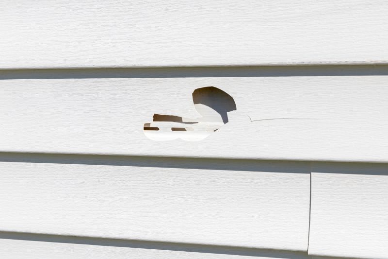 Vinyl Siding Repair Image 12