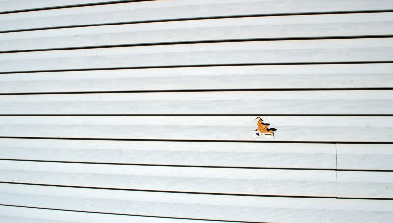 Vinyl Siding Repair Image 8